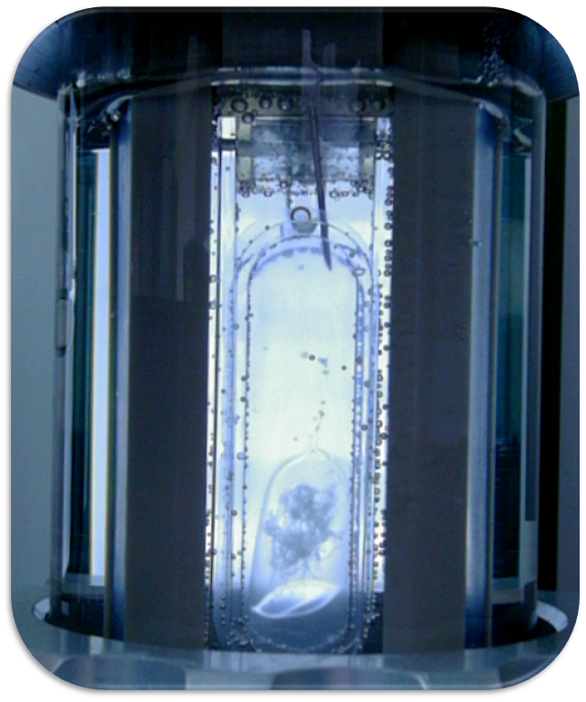 Biosimilar Drug Development